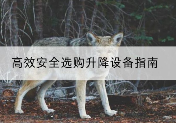 玉山升降货梯厂家推荐-*安全选购升降设备指南