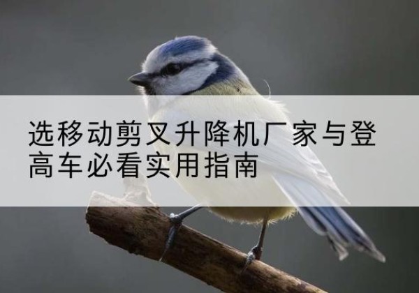 玉山电动升降机厂家-选移动剪叉升降机厂家与登高车必看实用指南