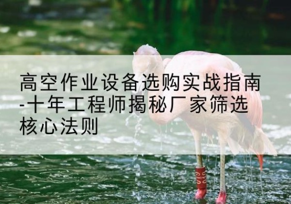 玉山剪叉式升降机厂家-高空作业设备选购实战指南-十年工程师揭秘厂家筛选核心法则